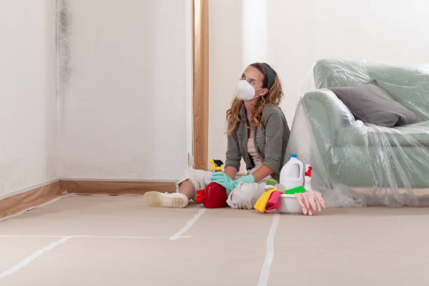Reliable Mold Remediation contractor in Woodbury Heights, NJ by Cheap Mold Removal
